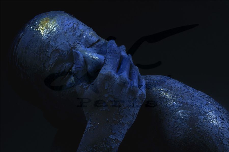 Portfolio Image